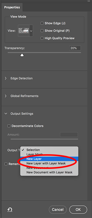 Save in Select & Mask.jpg